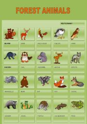 English Worksheet: FOREST ANIMALS