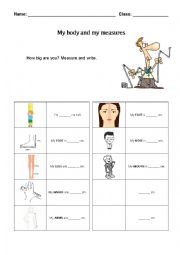 English Worksheet: Body measurement