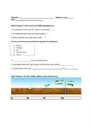 English Worksheet: Quiz about plants