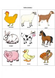 English Worksheet: FARM ANIMALS