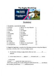 English Worksheet: The rugby world cup