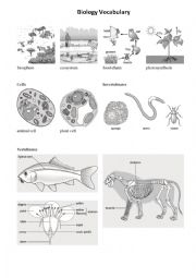 English Worksheet: Biology Vocabulary