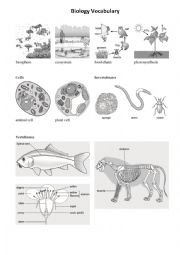 Biology Vocabulary