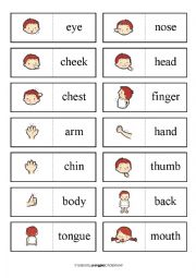 English Worksheet: DOMIMO - BODY VOCAB