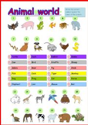 English Worksheet: Animal world