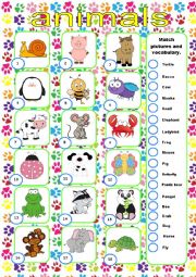 English Worksheet: Animals