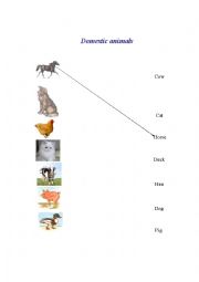 English Worksheet: domestic animals