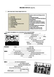 English Worksheet: Welcome to my life 
