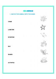 English Worksheet: Sea Animals