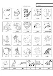 English Worksheet: Alphabet