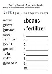 English Worksheet: Bean Life Cycle Alphabetizing 
