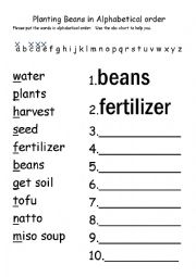 Bean Life Cycle Alphabetizing 