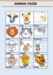 English Worksheet: ANIMAL FACES