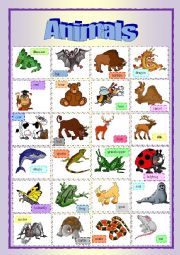 English Worksheet: Animals