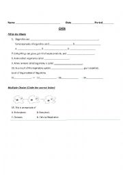 English Worksheet: Cells Study Guide