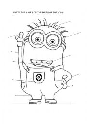 English Worksheet: Minions parts of the Body
