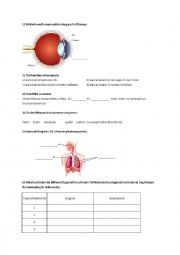 English Worksheet: Science test from My Pals are here 3A