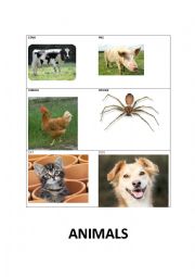 English Worksheet: animals