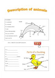 English Worksheet: Description of animals