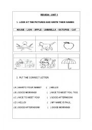English Worksheet: Animals, colors and alphabet