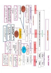 ADJECTIVES CLAUSES CONCEPTUAL MAP