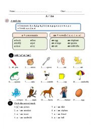 English Worksheet: A or An