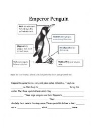 Emperor Penguin 