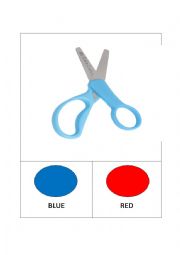 RED or BLUE