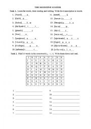 English Worksheet: THE DIGESTIVE SYSTEM