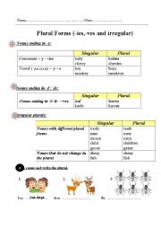 Plural form (-ies, -ves and irregular)
