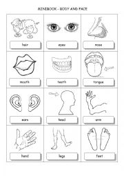 English Worksheet: Minibook body and face