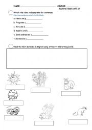 English Worksheet: Ecosystems Part 2