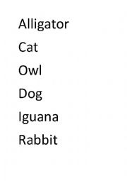 English Worksheet: Animals