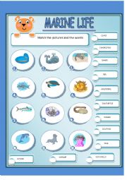 English Worksheet: MARINE LIFE 1