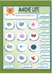 English Worksheet: MARINE LIFE 2