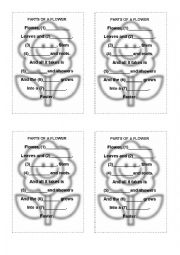 English Worksheet: Parts of a flower