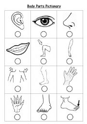 English Worksheet: Body Parts Vocab