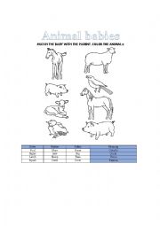 English Worksheet: Animal babies