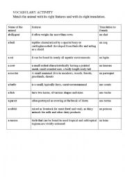 English Worksheet: vocabulary:Maching activity