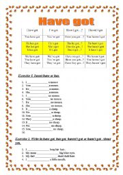 English Worksheet: test on using the verb TO HAVE