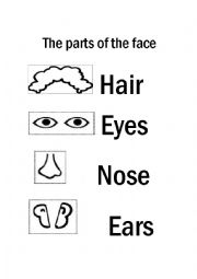English Worksheet: The parts of the face