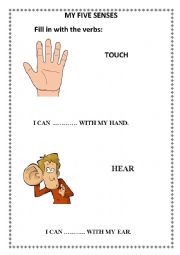 English Worksheet: My five senses