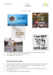 English Worksheet: Animal Rights