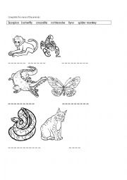 English Worksheet: Complete the name of the animals.