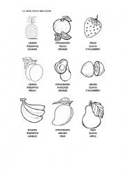 English Worksheet: food and fruits