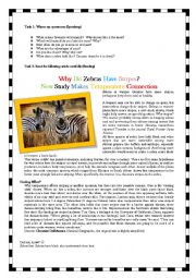 English Worksheet: Why do zebras have stripes?