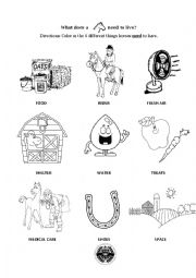 English Worksheet: What a horse needs to live coloring page