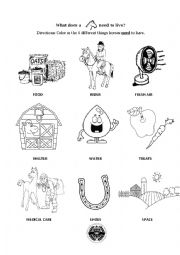 English Worksheet: What a horse needs to live coloring page