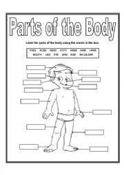 English Worksheet: Parts of the body