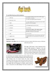 English Worksheet: Kopi luwak- One of the most expensive coffees in the world